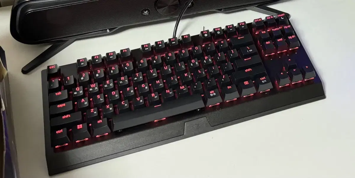 레이저 블랙위도우 V3 TKL 팝니다